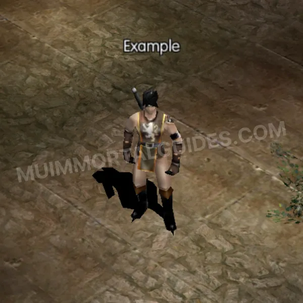 Dark Knight In-Game