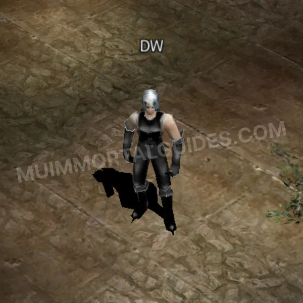 Dark Wizard In-Game