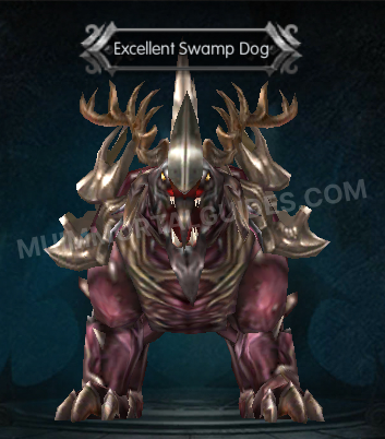 Excellent Swamp Dog