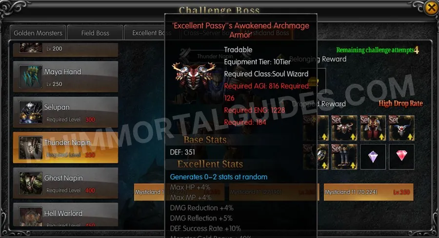 In-game screenshot of Excellent Passy's Awakened Archmage Armor tooltip