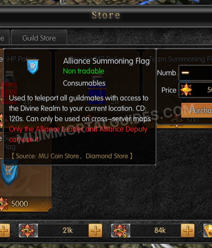 Screenshot of Alliance Summoning Flag
