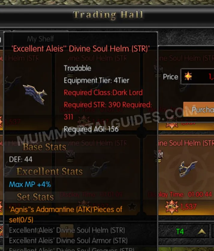 Screenshot of Excellent Aleis' Divine Soul Helm (STR)