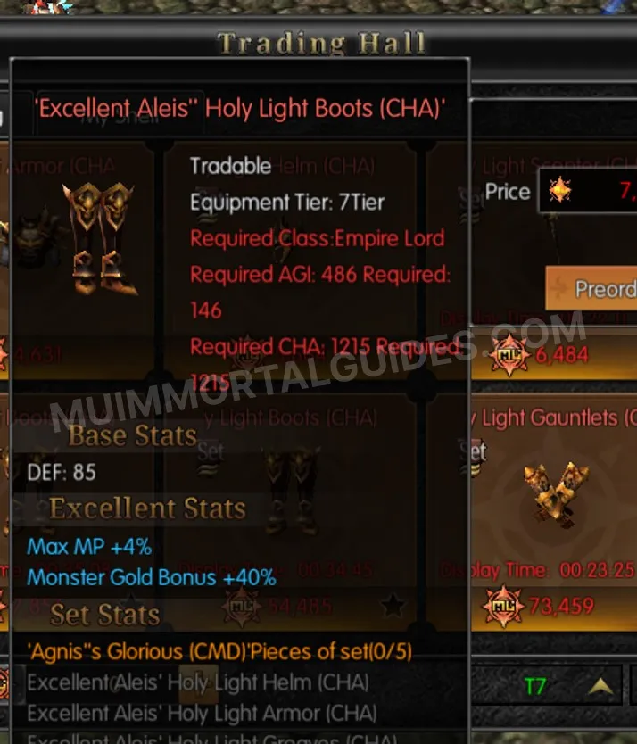Screenshot of Excellent Aleis' Holy Light Boots (CHA)