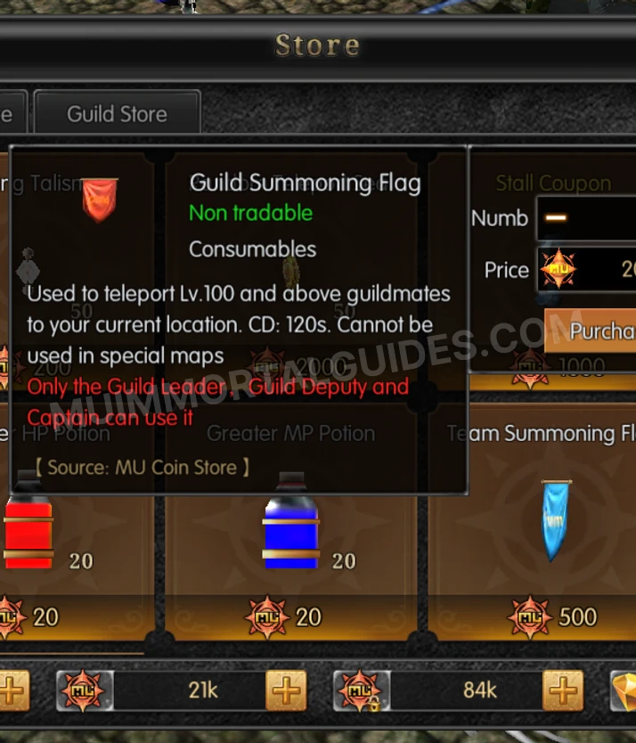 Screenshot of Guild Summoning Flag