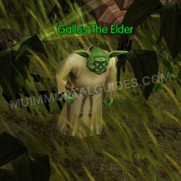 Gallus The Elder